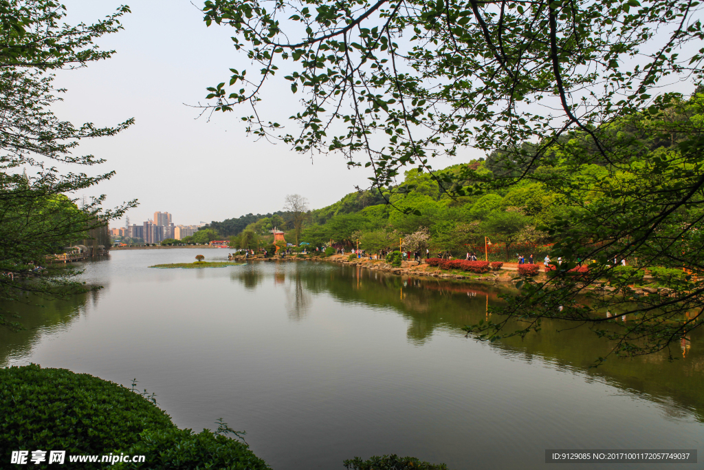 湖南省森林植物园