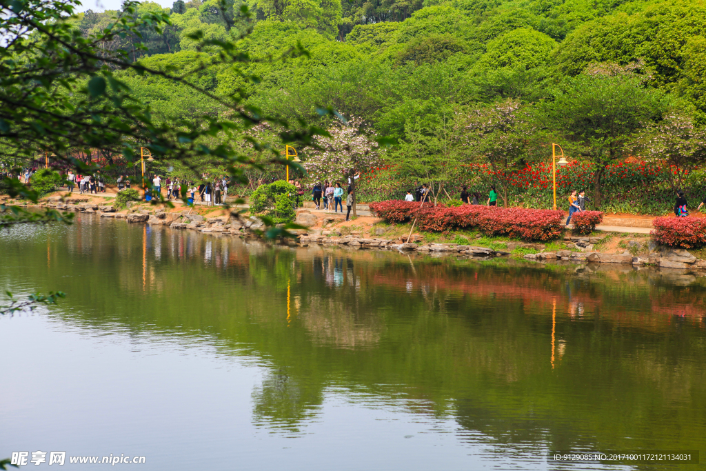 湖南省森林植物园