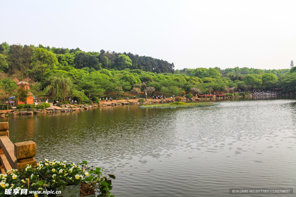 湖南省森林植物园