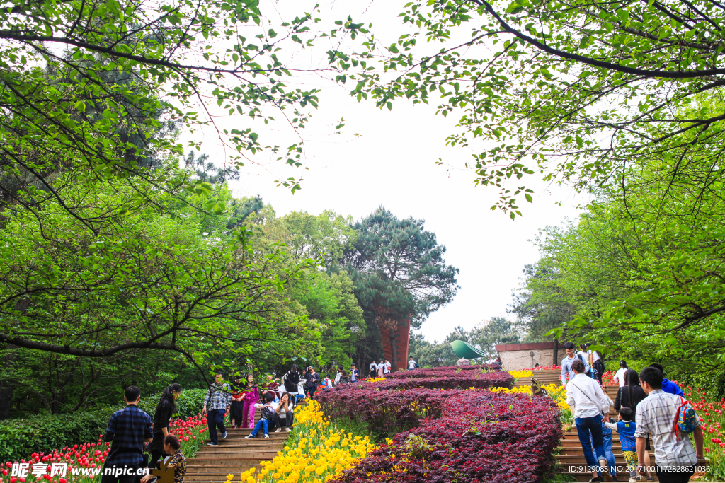 湖南省森林植物园