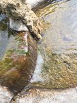 水景