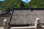 普化寺