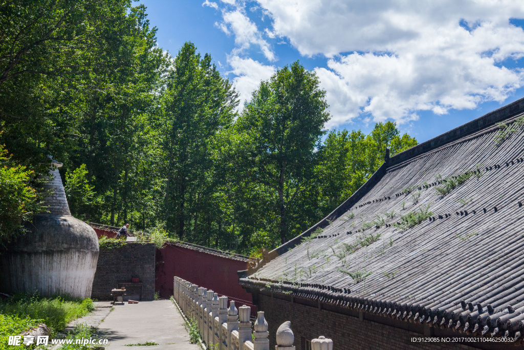 普化寺