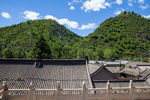 普化寺
