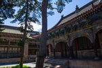 普化寺