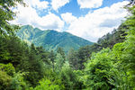 五台山