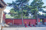 五台山塔院寺