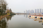 洋湖湿地