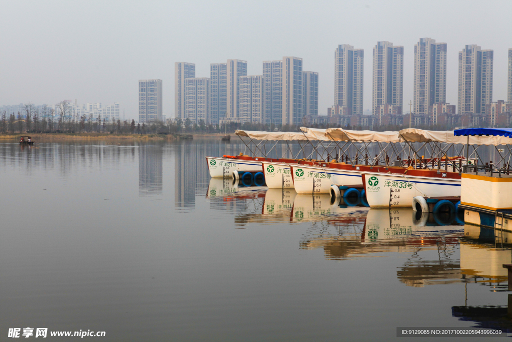 洋湖湿地