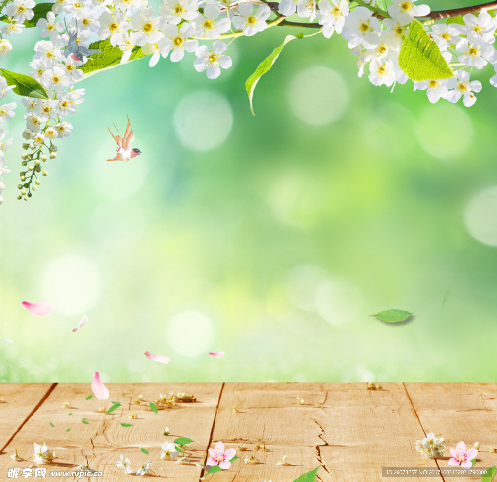 淘宝树枝花背景素材