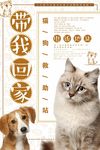 可爱风格公益宠物海报