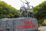 长沙黑麋峰国家森林公园