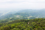 长沙黑麋峰国家森林公园