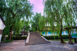 鲁镇景区