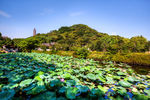 招宝山旅游风景区