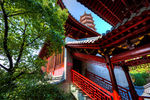 招宝山旅游风景区