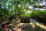 招宝山旅游风景区
