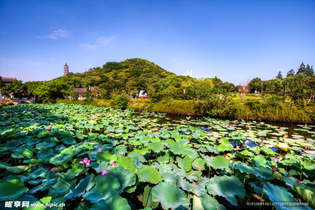 招宝山旅游风景区