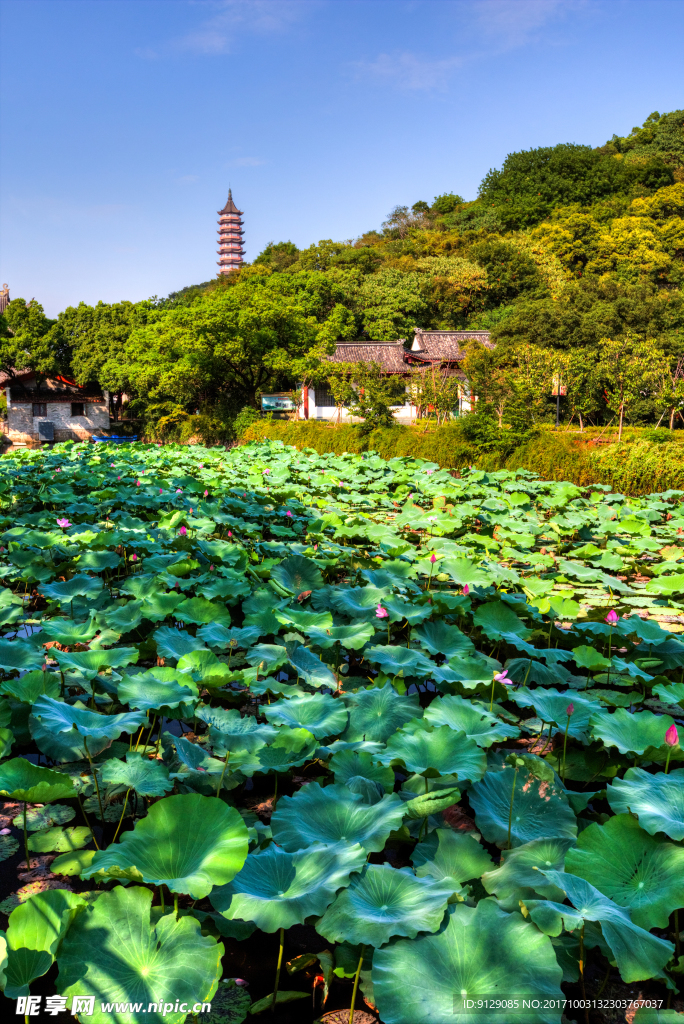 招宝山旅游风景区