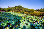 招宝山旅游风景区