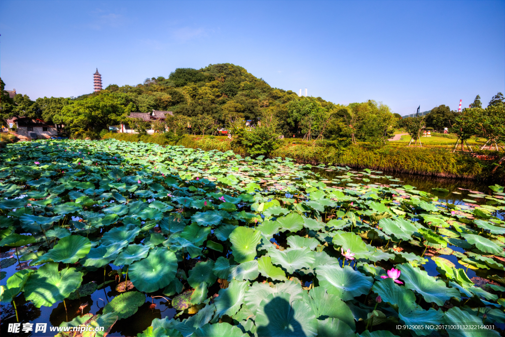 招宝山旅游风景区