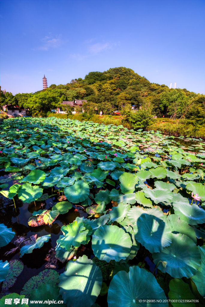 招宝山旅游风景区