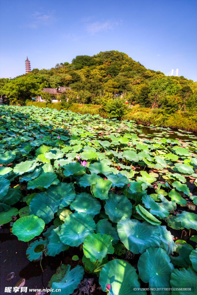 招宝山旅游风景区