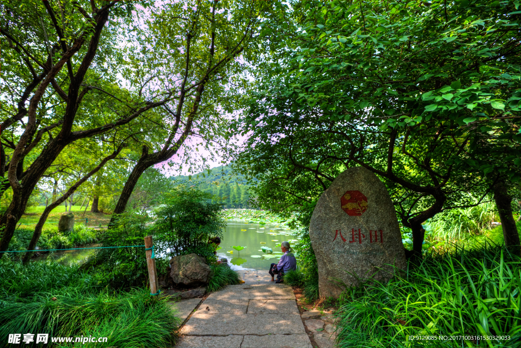 杭州八卦田