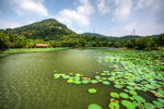 杭州八卦田