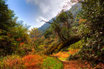 九华乡周公山村