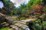 九华乡周公山村