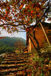 九华乡周公山村