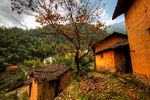 九华乡周公山村