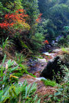 衢州九华山