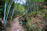 衢州九华山