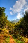 衢州九华山