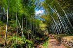 衢州九华山