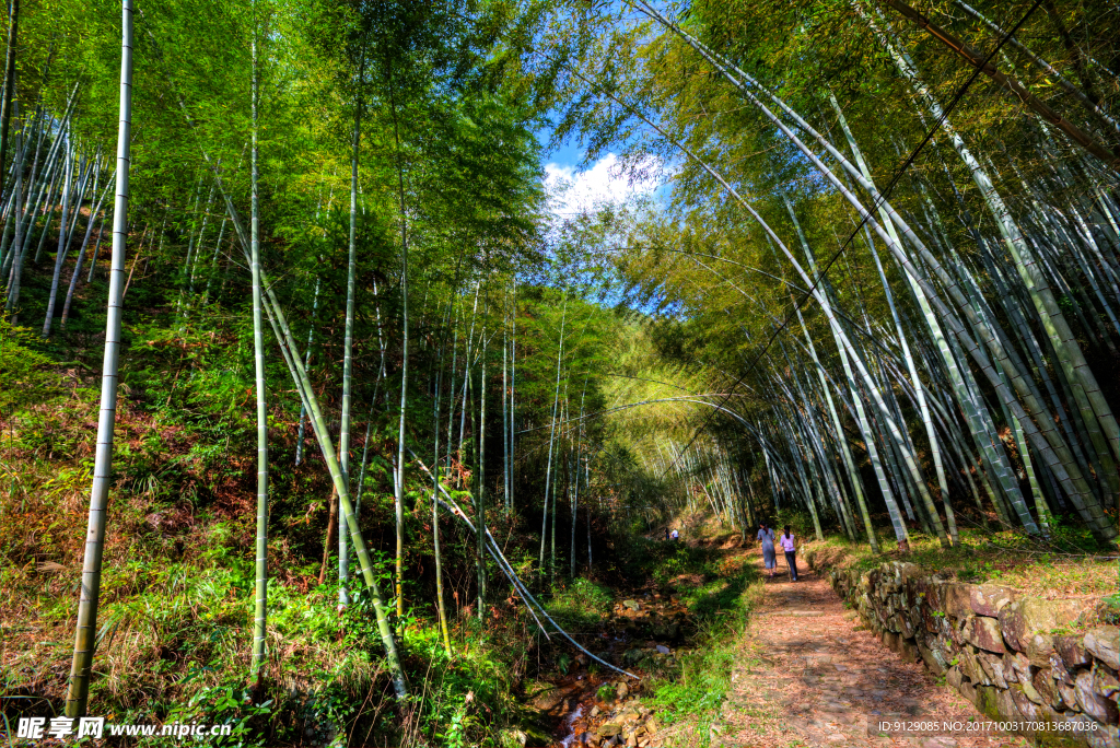 衢州九华山