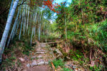 衢州九华山