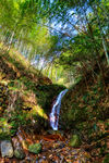 衢州九华山