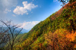 衢州九华山