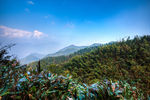 衢州九华山