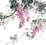 紫花