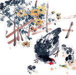 母鸡