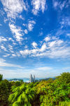 新加坡花芭山