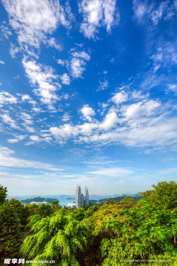 新加坡花芭山