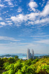 新加坡花芭山