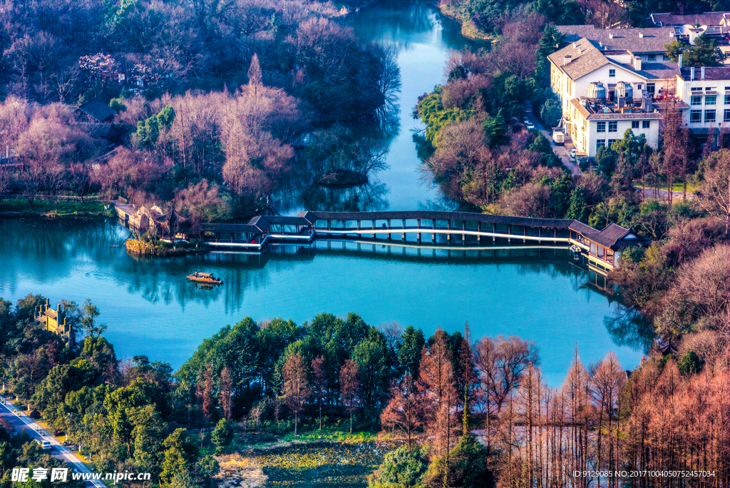 浴鹄湾