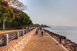 深圳湾公园