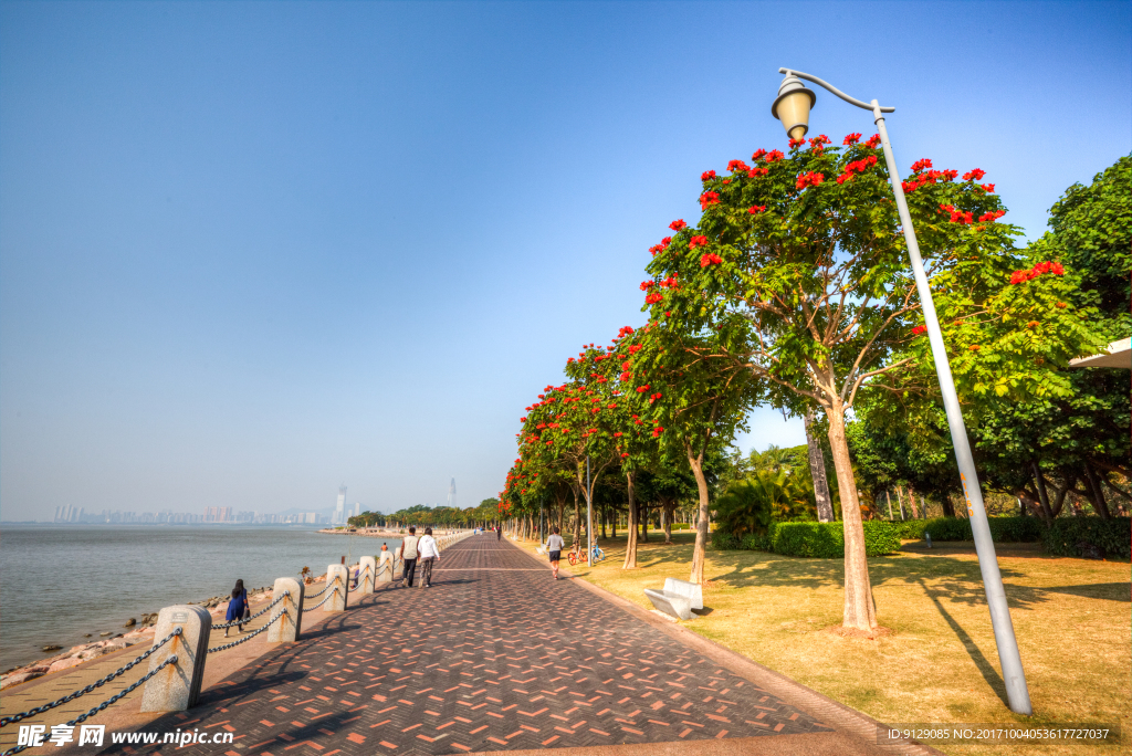 深圳湾公园